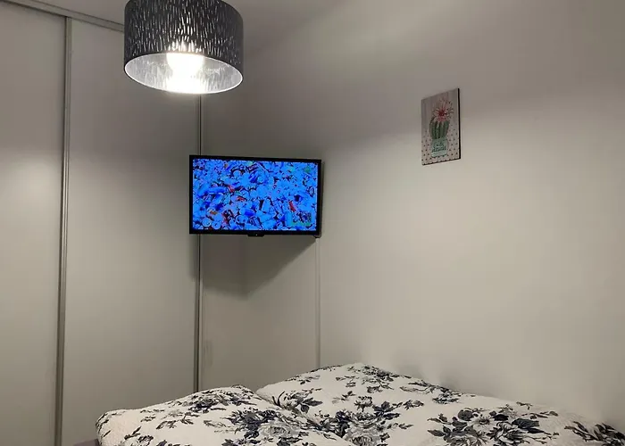 Apartament Origo